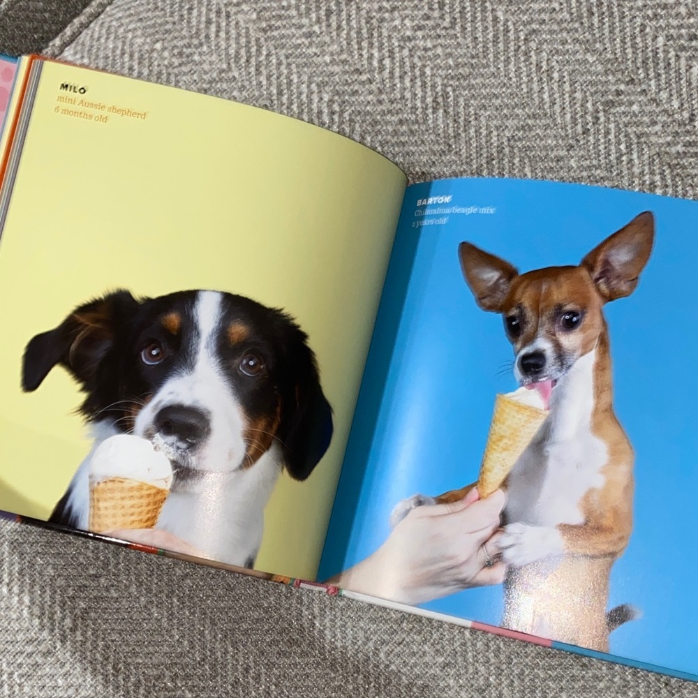 Dogs vs. Ice Cream Hardcover Book by Diana Lundin - Picture 3 of 6